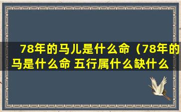 78年的马儿是什么命（78年的马是什么命 五行属什么缺什么 视频）